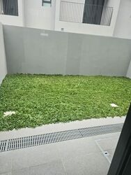 Pollen Collection II (D28), Terrace #589664111